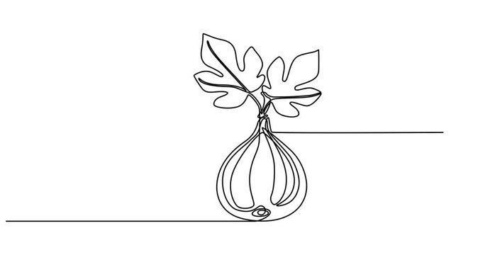 Animated self drawing of   Abstract fig fruit with leaves, Continuous one line drawing isolated on white background, Continuous one single minimal line drawing Figs fruit, Single one line drawing