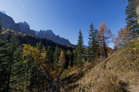 vista panoramica con effetto hdr, verso la catena montuosa del Monte Popera, dalle foreste lungo i suoi pendii, a Passo Monte Croce Comelico, di mattina, in autunno, con cielo sereno