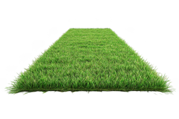 Realistic green grass patch texture element lawn turf ground meadow field pasture landscaping garden design element isolated on transparent background