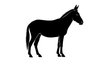 Obraz premium Single black horse silhouette, isolated on white background