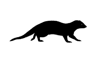 Black silhouette of a badger isolated on white background