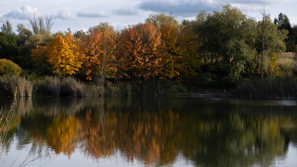 Autumn trees reflecting in calm lake, real nature landscape in natural light