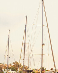 Pastel Marina Sailboats at Sunset