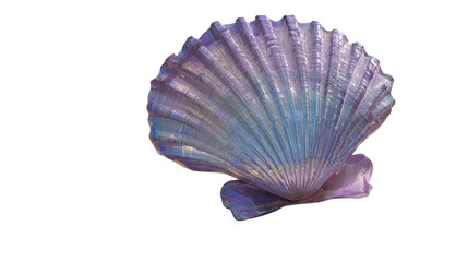 Fototapeta premium Pearlescent Purple Scallop Shell Isolated on Clean White Background for Beach, Ocean, and Decorative Design