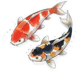 Harmony of koi: elegant watercolor pair. Yin-Yang Koi: red-white and calico fish illustration. Swimming symmetry: vibrant koi carp duet. Japanese serenity: hand-drawn koi fish art. Koi carp swimming