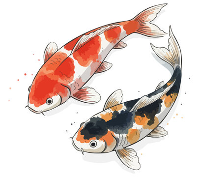 Harmony of koi: elegant watercolor pair. Yin-Yang Koi: red-white and calico fish illustration. Swimming symmetry: vibrant koi carp duet. Japanese serenity: hand-drawn koi fish art. Koi carp swimming