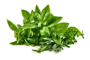 Fresh Basil, Thyme and Rosemary Herbs, isolated on white background