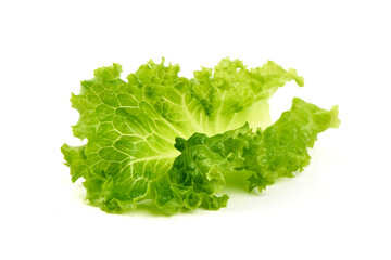 Lettuce Leaf Green Salad, isolated on white background