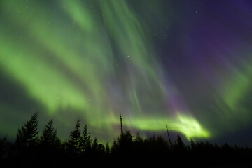 Northern lights
