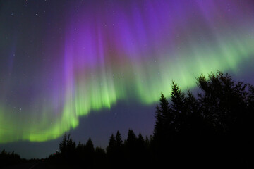 Northern lights