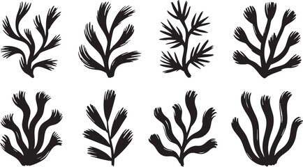 Coral reef or seaweeds vector underwater plant icons. Naive style leaves, algae or fronds. Hand drawn vector ink illustration. Modern style organic corals, aesthetic underwater plants and branches