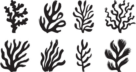 Coral reef or seaweeds vector underwater plant icons. Naive style leaves, algae or fronds. Hand drawn vector ink illustration. Modern style organic corals, aesthetic underwater plants and branches