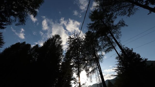 Timelapse del sole che tramonta dietro agli alberi ed alle montagne, in un ambiente naturale del Friuli Venezia Giulia, in Italia, in autunno