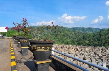 Floral pots lined along scenic rocky mountain landscape.