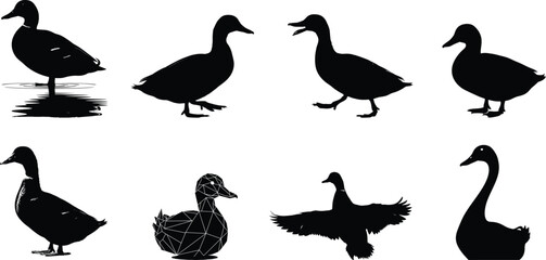 Silhouette collection of ducks in various poses on a white background