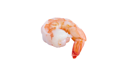 Close up of a single cooked shrimp with pink and white coloring isolated against a plain white background object on white and png