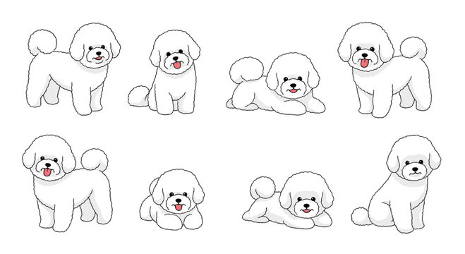Collection of cute Bichon Frise dog characters in various poses, including sitting, standing, and lying down, on a white background.