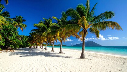 Obraz premium Tropical beach with golden sand, turquoise waves, leaning palm trees, and bright blue sky.