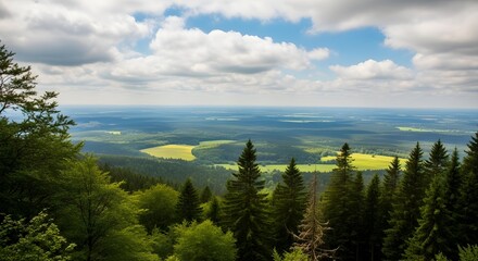 Panoramic View of Lush Green Forest, Rolling Hills, and Bright Yellow Fields under a Dramatic Cloudy Sky