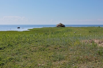 View of Abruka suurkivi boulder on a grassy coastline, which is a massive glacial erratic boulder in summer with clouds in the sky, Abruka, Saaremaa, Estonia. © Raimo Bergroth