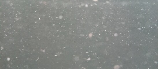 cloudy water lots of fish droppings in aquarium like Abstract Dust Particles on Dark Background