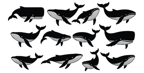 Collection of whale silhouettes swimming in various positions on a white background