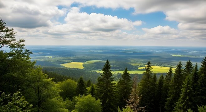 Panoramic View of Lush Green Forest, Rolling Hills, and Bright Yellow Fields under a Dramatic Cloudy Sky - Powered by Adobe