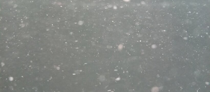 cloudy water lots of fish droppings in aquarium like Abstract Dust Particles on Dark Background