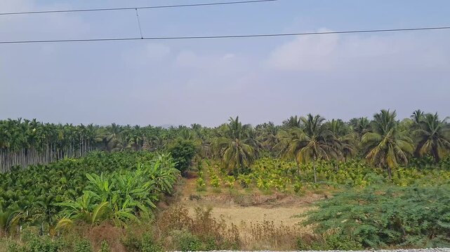 A video of train window view shows arecanut fields or trees and lands moving along speeding train
