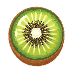 Kiwi fruit. Vector illustration. Highlights and shadows. Isolated on a white background.