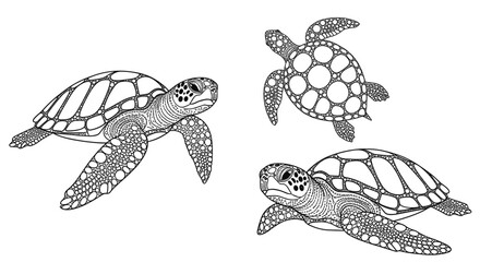 Intricate sea turtle designs with geometric patterns in black and white
