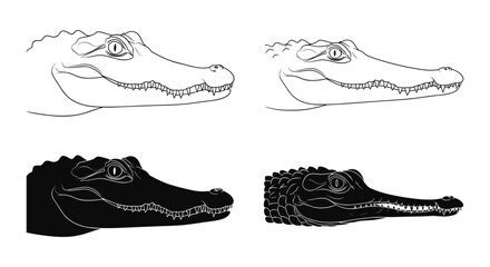 Alligator head silhouette and outline illustrations in black and white