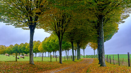 Obraz premium View near St Rumwolds Church, Bonnington, Kent