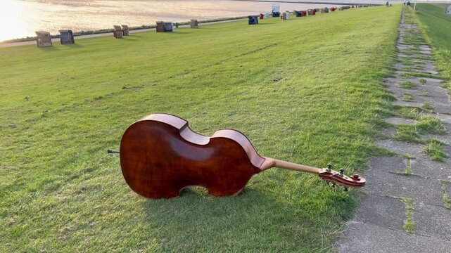 Beautiful double bass lying on grassy beach at wadden sea near Buesum in Schleswig Holstein