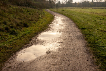 Winding dirt path with puddles reflecting sky