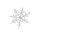 ultra macro photo of intricate translucent dendritic snowflakes and glittering microscopic ice crystals against a soft silver studio backdrop with transparent copy space below. concept of winter