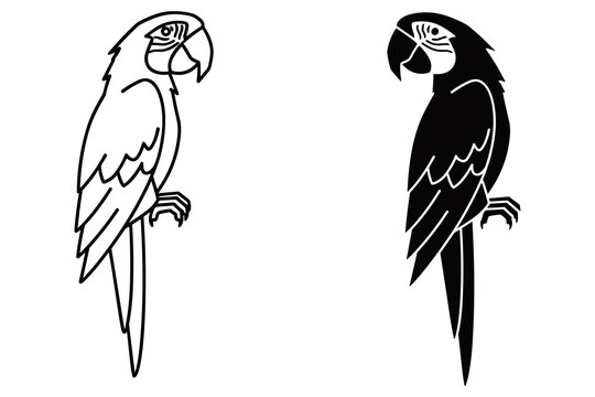Stylized Parrot Outline and Silhouette macaw bird