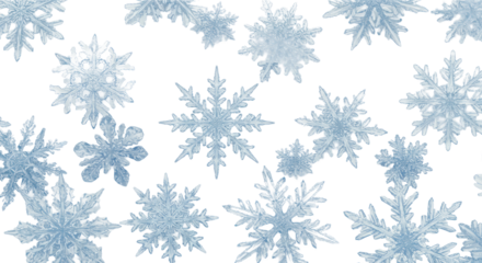 ultra-detailed macro flat lay of intricate icy blue and cyan crystal snowflakes on a brilliant white high-key background with soft shadows and negative space. concept of elegant winter minimalism