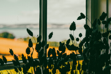 A window by Lake Mj&oslash;sa in late summer.