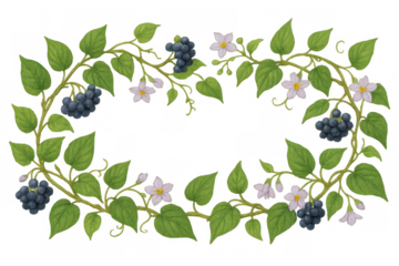 Botanical vine wreath frame with dark berries and white flowers, natural seasonal border on transparent background