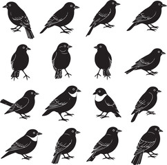 Collection of black bird silhouettes on white background