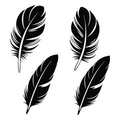 Fototapeta premium Simple black feather shapes are isolated on a white background in this vector