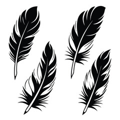 Obraz premium Isolated black bird feathers elegantly placed against a white backdrop offer minimalist detail