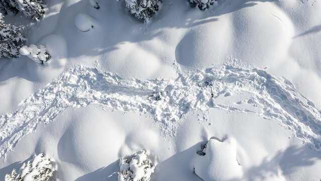 Aerial view of a snowy landscape with tracks, showing the aftermath of a potential avalanche in winter.