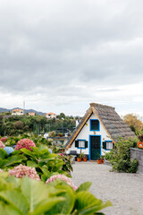 Charming thatched-roof cottage surrounded by vibrant flowers and greenery, set against a cloudy sky, showcasing a picturesque rural landscape and inviting atmosphere