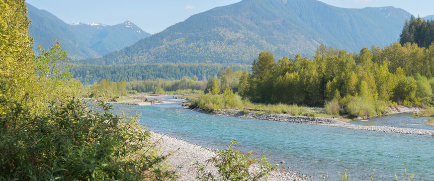 Panorama of the Chilliwack River as seen from the Vedder Rotary Trail North during a spring season in Chilliwack, Fraser Valley, British Columbia, Canada