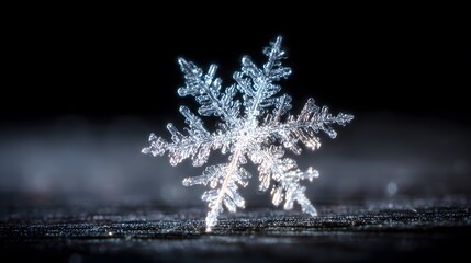 Macro photograph of a detailed six pointed stellar snowflake
