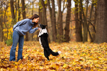 Fototapeta premium Woman walking her cute dog in autumn park, space for text