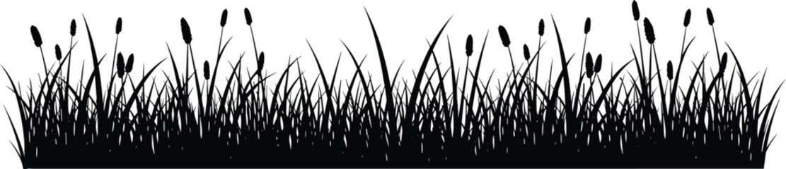 Fototapeta premium Grass silhouette border with wild reeds and cattails isolated on white background, natural black meadow vector illustration design