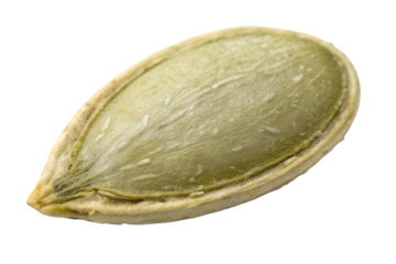 Macro close-up shot of a single pumpkin seed, showcasing its green hull and intricate inner texture, isolated on a clean white background